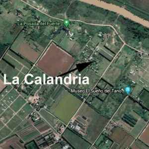 La Calandria 5